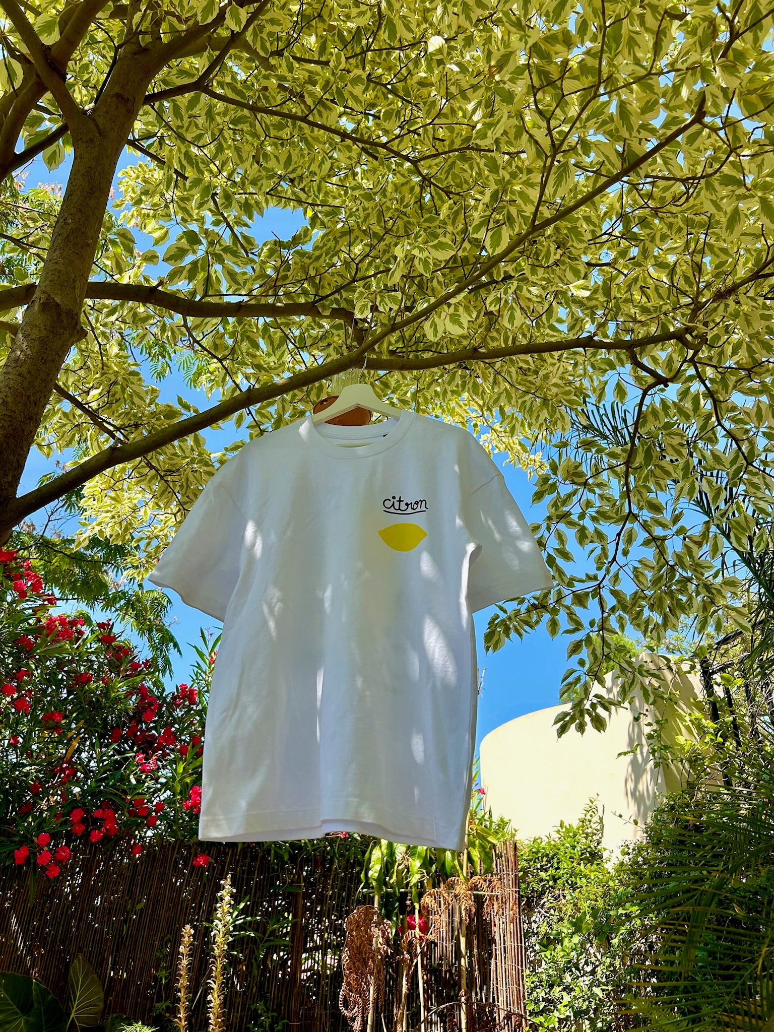 Citron, Maison Bon Feu